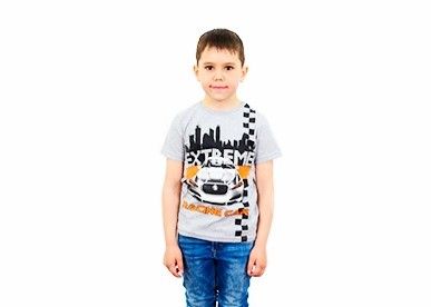 Детская серая футболка для мальчика «EXTREME»
